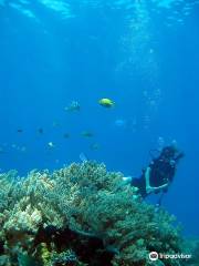 Reef Seen Divers' Resort