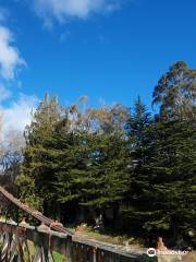 Clifden Suspension Bridge