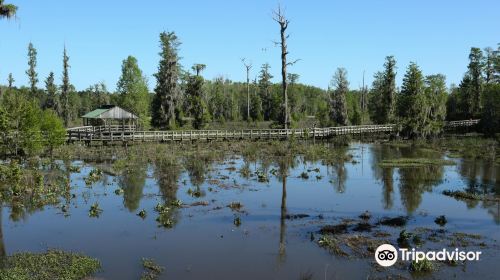 Phinizy Swamp Nature Park