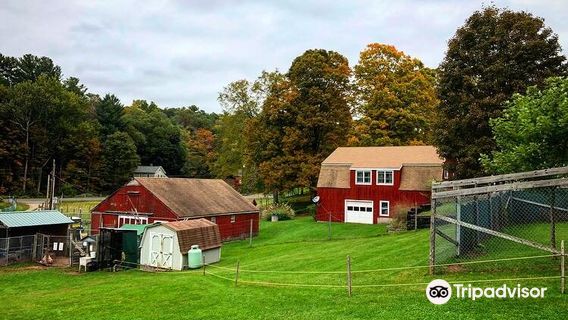 Highwire Deer & Animal Farm