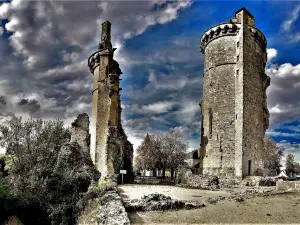 Castle de Mehun-sur-Yevre