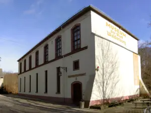 Museum - Natural History Collection Waldenburg