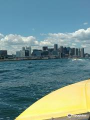 Boston Harbor Mini Speed Boats, Inc.