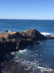 Flinders Blowhole