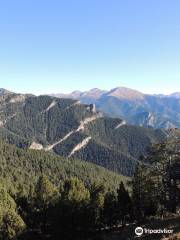 Erts Vallnord Pal