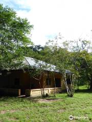 Gola Rainforest National Park