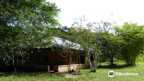 Gola Rainforest National Park