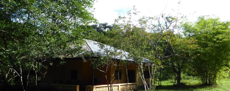 Gola Rainforest National Park