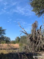 Brooker Creek Headwaters Nature Preserve