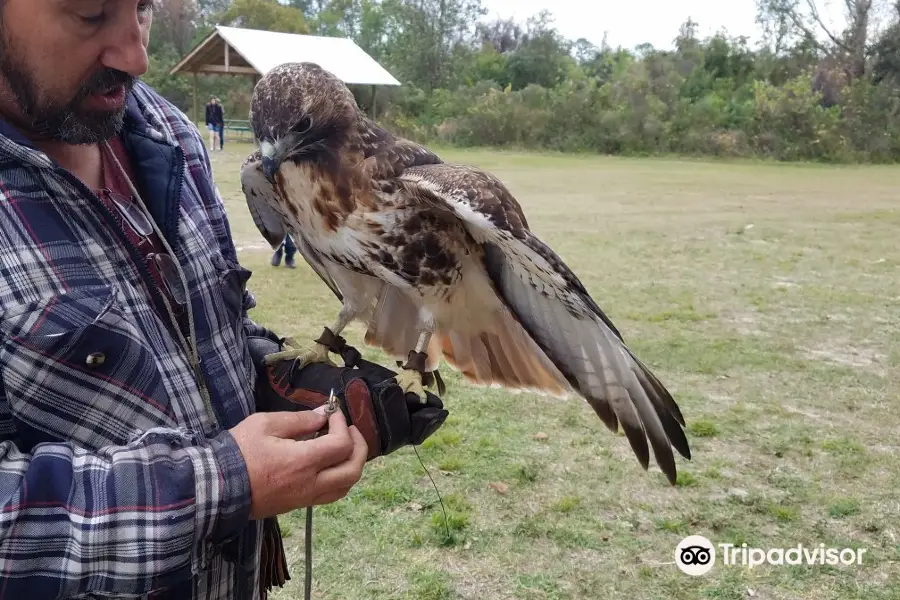 Avian Reconditioning Center