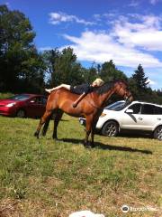 Double Mountain Horse Ranch