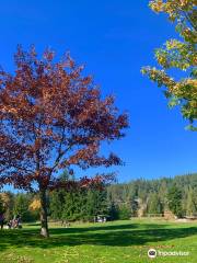 Bowen Island Golf Club