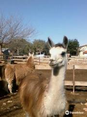 Ferme Zoo de Bouzigues