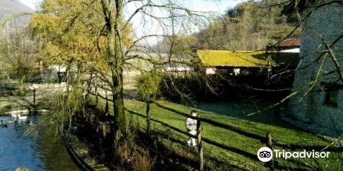 Fattoria Campogelato