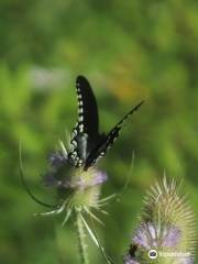 Wainfleet Bog Conservation Area