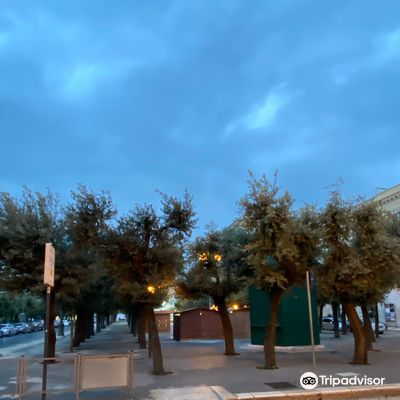 Republic square