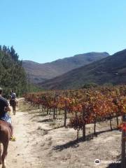 Franschhoek Adventures