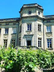 Château de Boën Musée des Vignerons du Forez