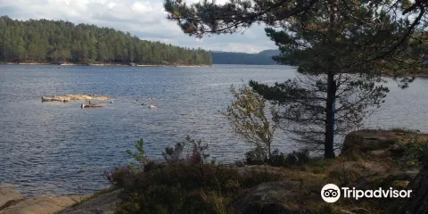 Royknes Kiledalen