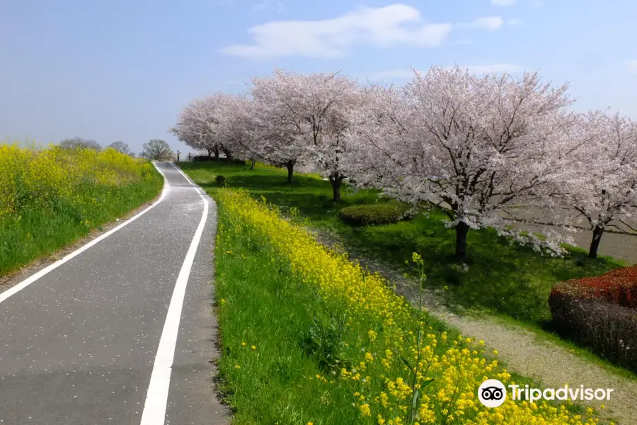 Saitama Prefectural Road 157 Kawagoe Sayama Bike Trail