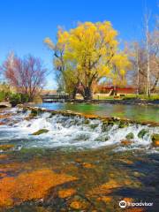 Giant Springs State Park