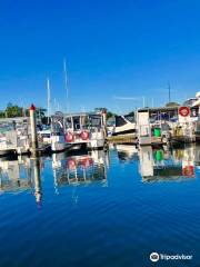 Gold coast party pontoons