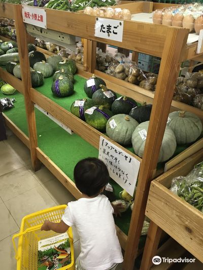高山温泉 ふれあいプラザ(道の駅 中山盆地)