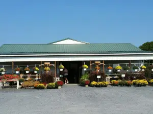 Shen-Valley Flea Market