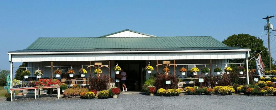 Shen-Valley Flea Market