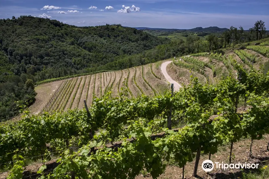 Tenuta Stella