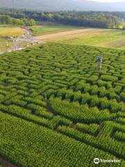 Mazezilla Corn Maze