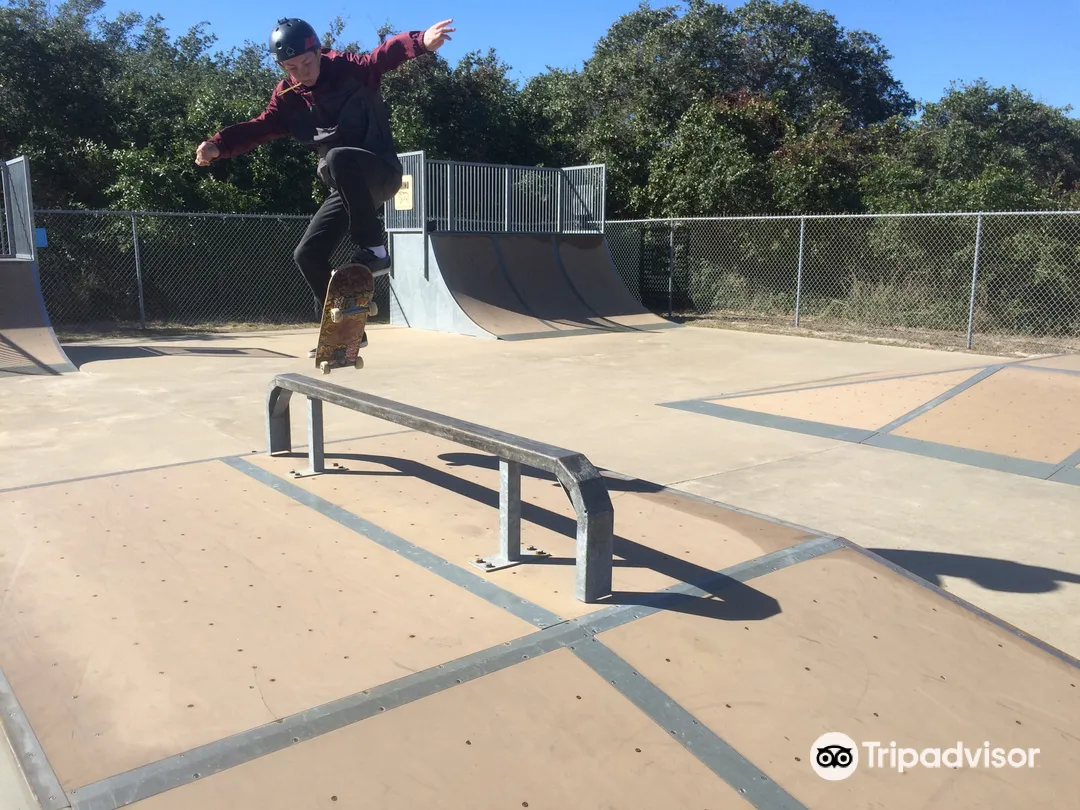 4_Community Aquatic and Skate Park
