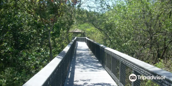 Tall Cypress Natural Area