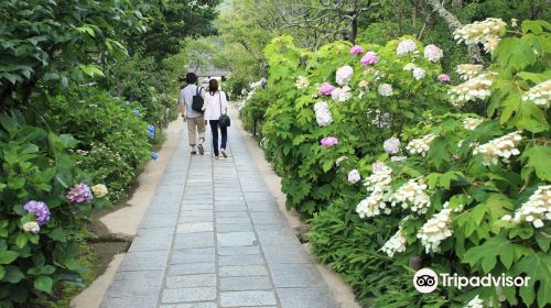 東慶寺