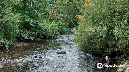 Quinsam River Hatchery