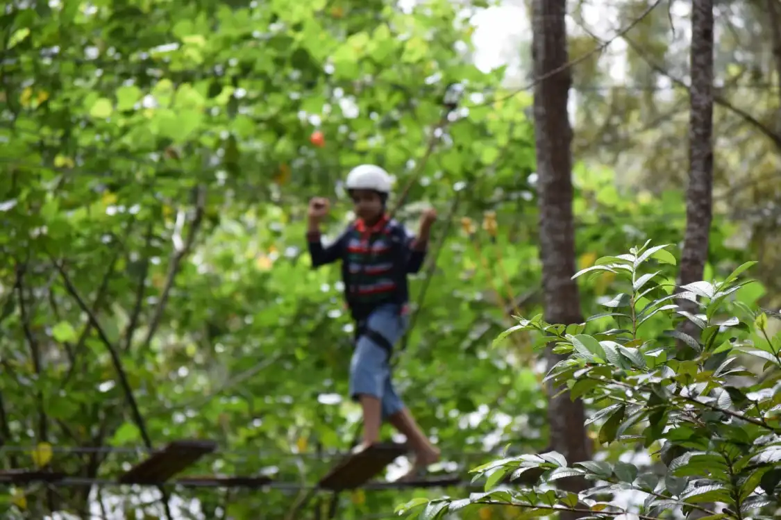 Hotels near Grange TreeTop Adventure