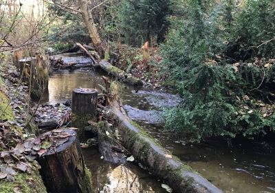 Des Moines Creek Trail