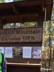 Driskill Mountain