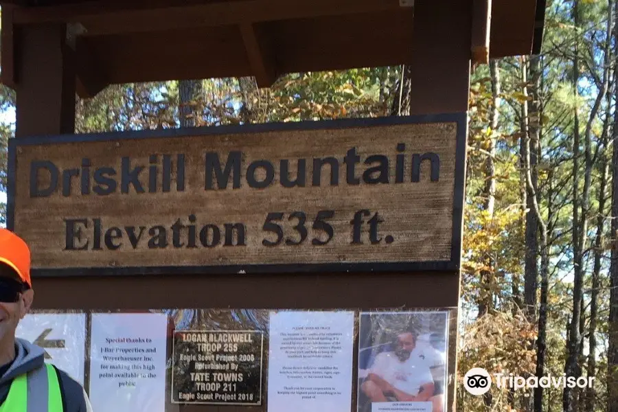 Driskill Mountain