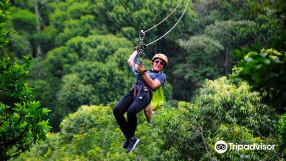Mindo Canopy Adventures