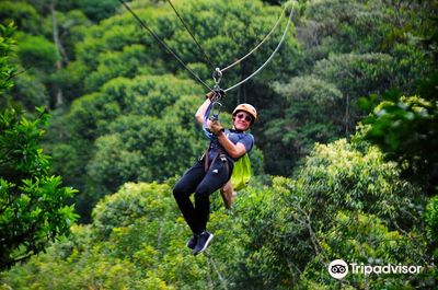 Mindo Canopy Adventures