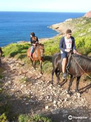 Rutas a Caballo Son Àngel