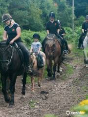 Cannock Chase Trekking Centre