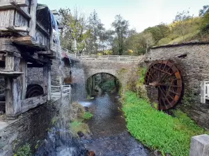 Mills Museum Mazonovo