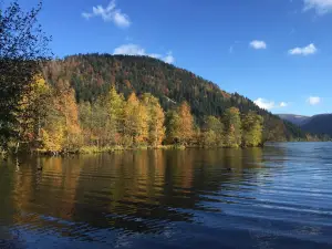 Lac de Longemer