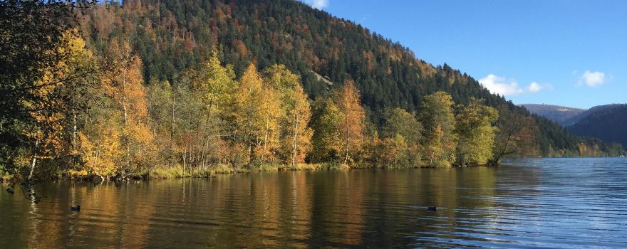 Lac de Longemer