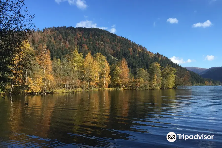 Lac de Longemer