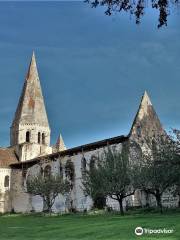 Ancienne abbaye Notre-Dame d'Aigues-Vives