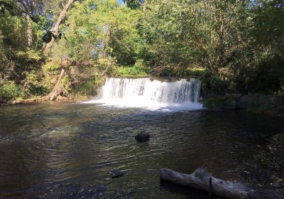 Lynn River Falls