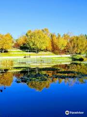 The Jerusalem Botanical Gardens